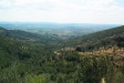 cortona05036