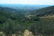 cortona05038