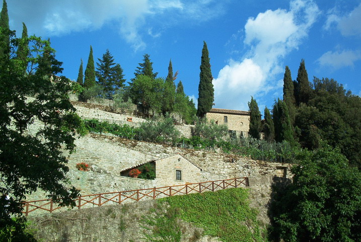 cortona05011