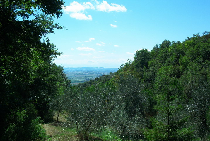 cortona05021