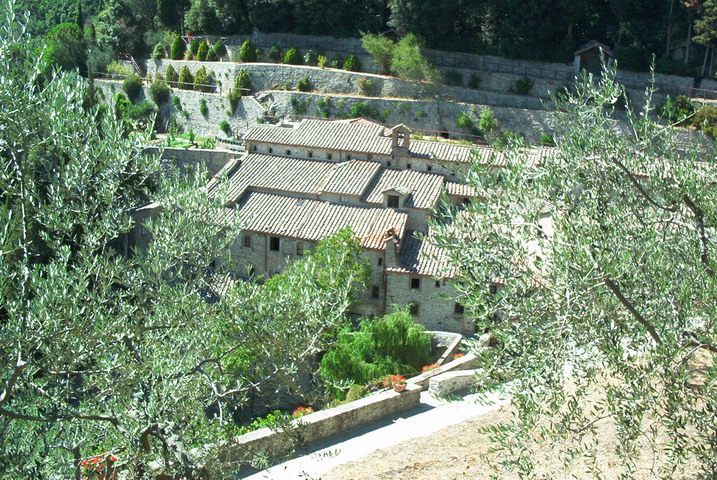 cortona05024