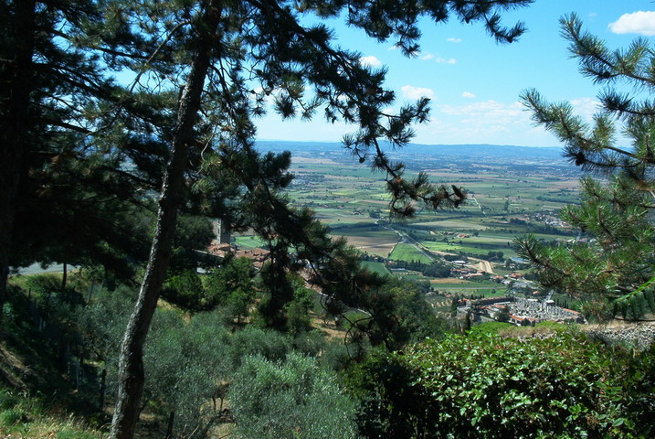 cortona05106