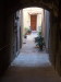 cort06017