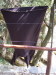 cort07043