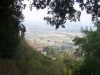 cort07066
