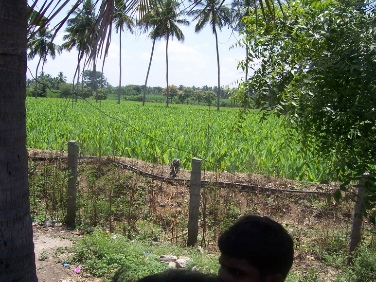 Ind11435.jpg