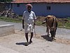 Ind11418.jpg