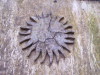 TerniG093
