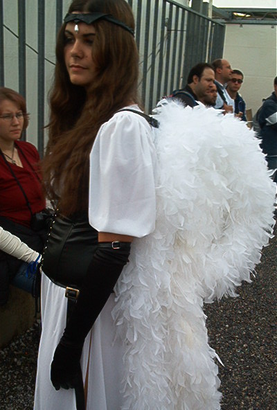 luc04070.jpg
