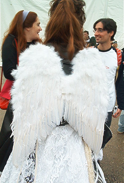 luc04110.jpg