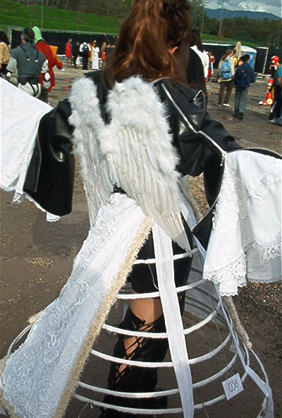luc04137.jpg