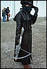 luc04131.jpg