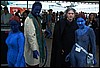 luc04435.jpg