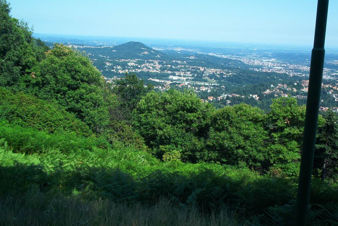 fav03007.JPG