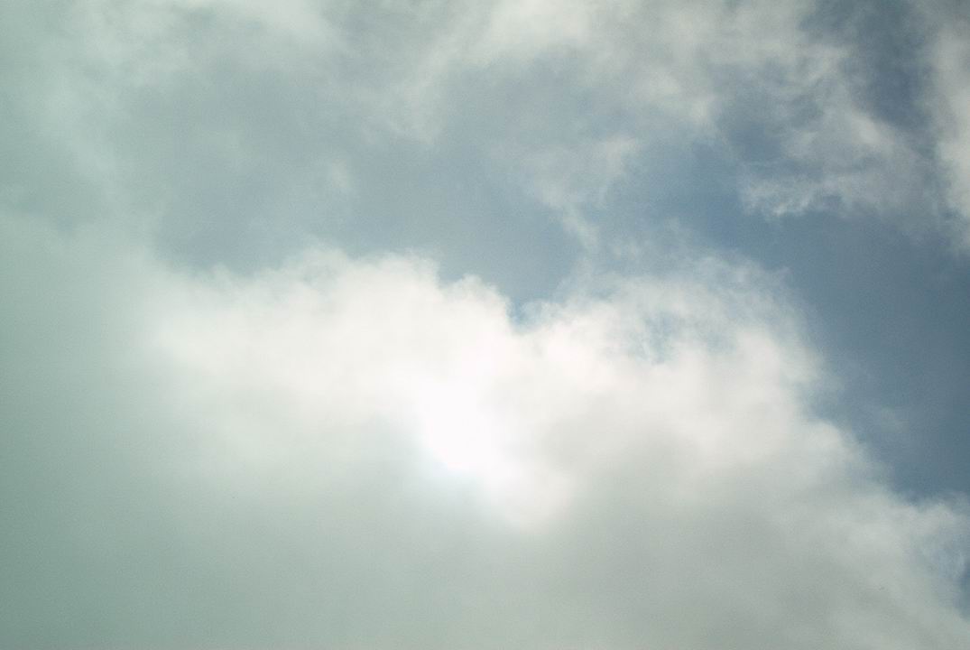 fav03033.JPG
