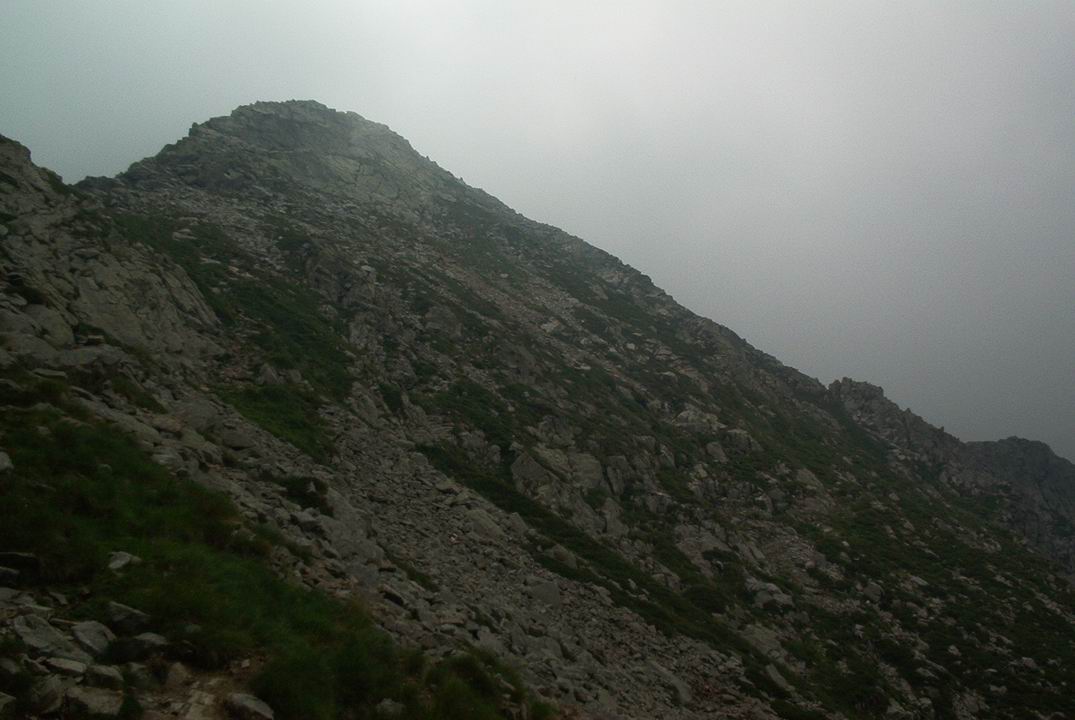 fav03052.JPG