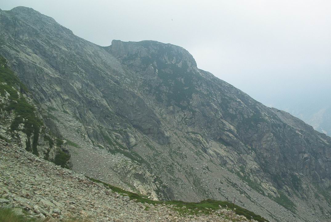 fav03053.JPG