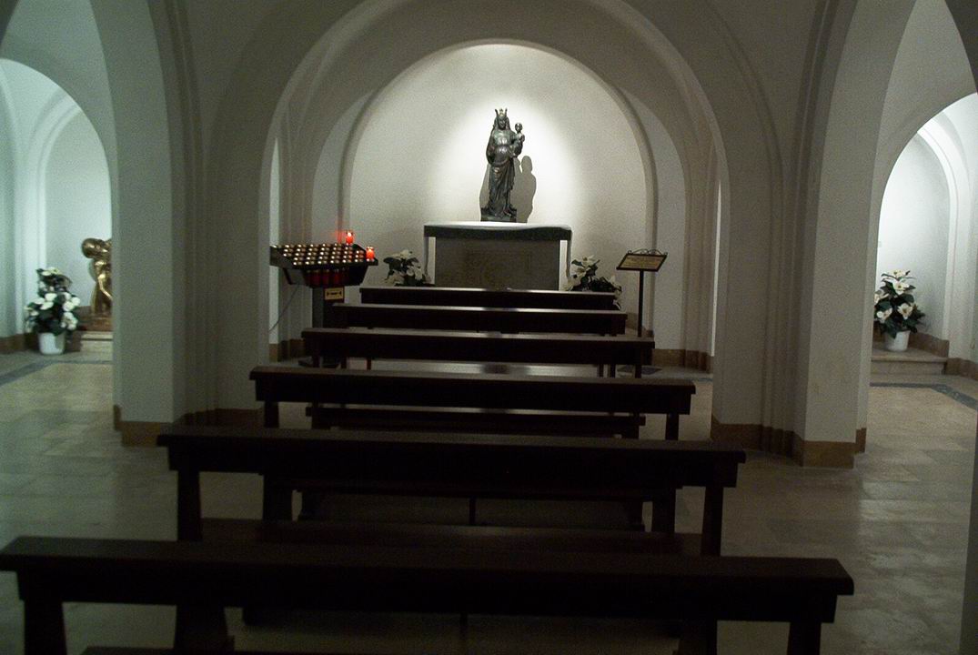 fav03077.JPG