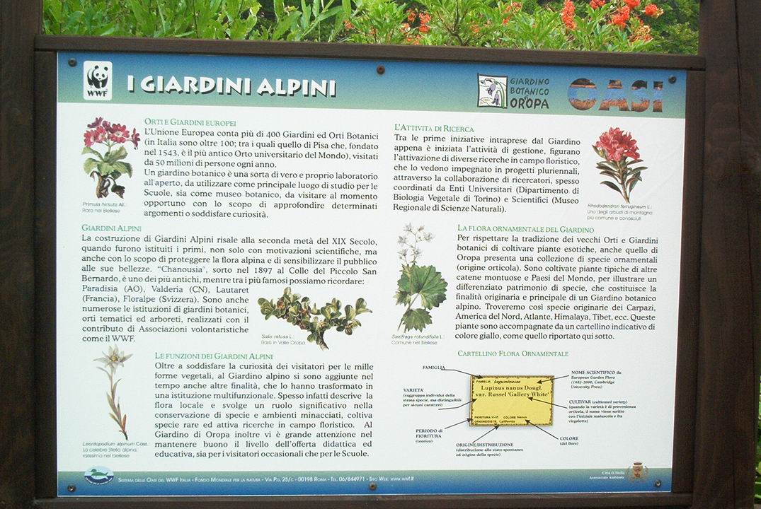 fav03096.JPG