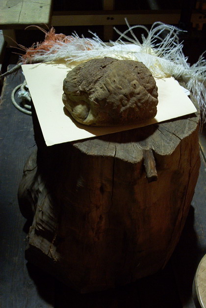 fvgsf029.jpg
