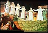 fvgsf110.jpg