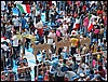 051 cammelli italyani.JPG