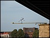 094 scheletro koln.JPG