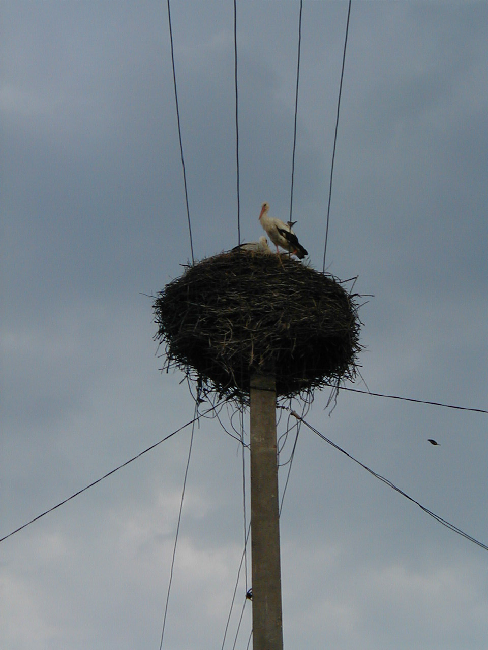 P1010005.JPG