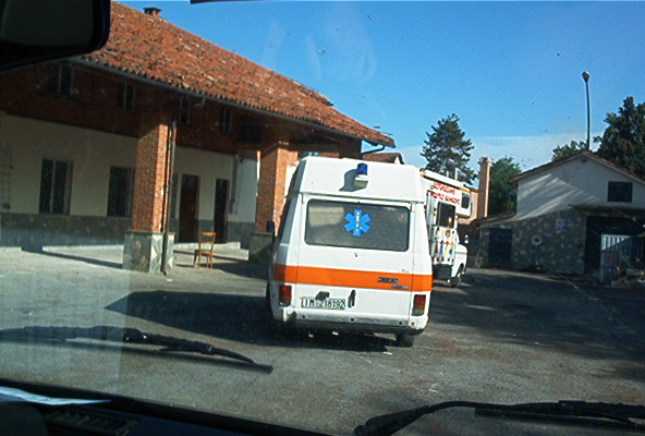 roste015.jpg