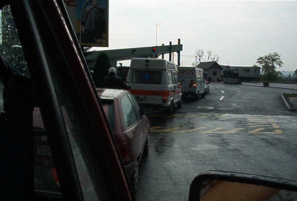 roste040.jpg