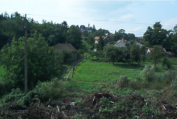 roste042.jpg