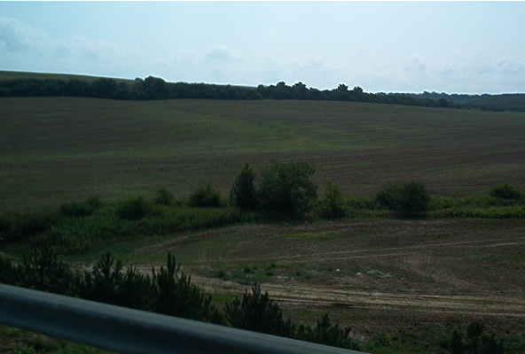 roste043.jpg