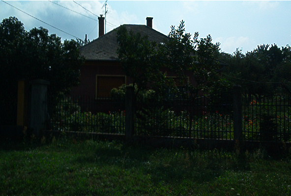 roste044.jpg