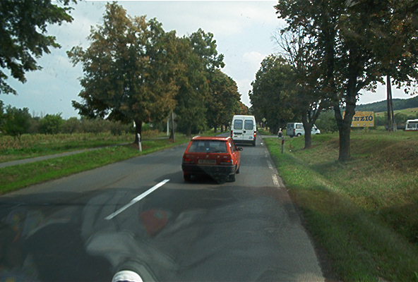roste046.jpg