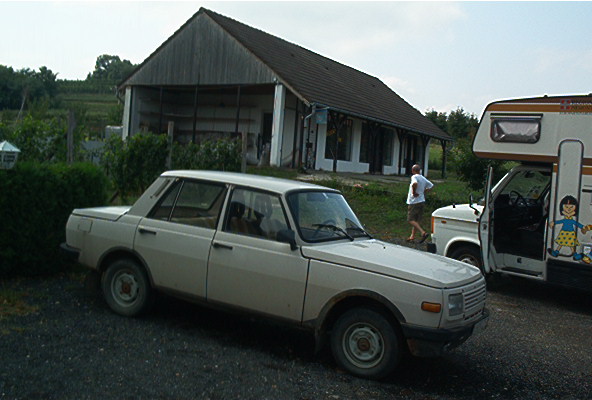 roste050.jpg