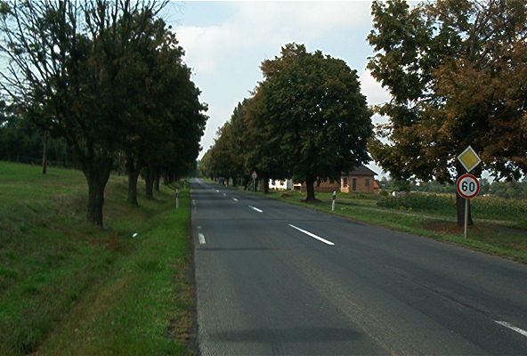 roste054.jpg