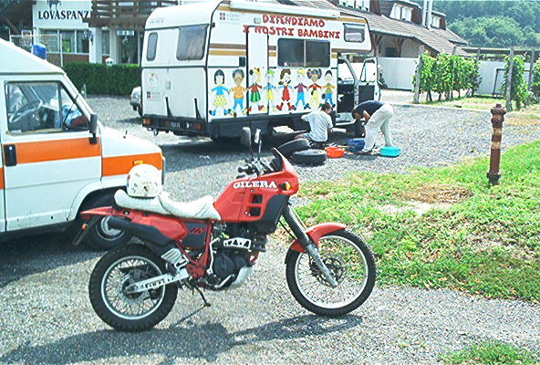 roste056.jpg