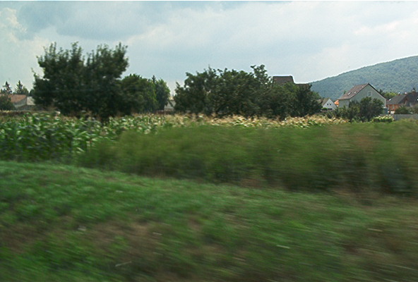 roste059.jpg