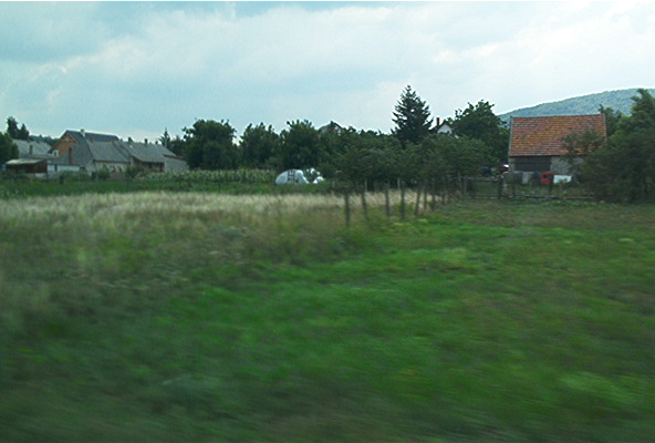 roste060.jpg