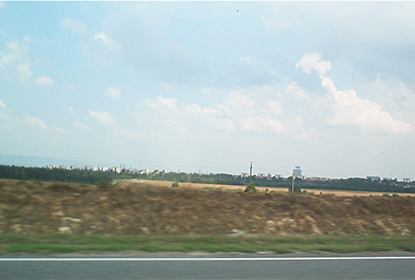 roste061.jpg
