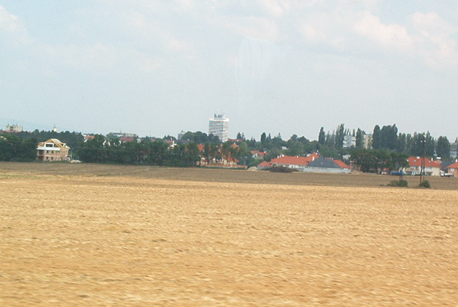 roste062.jpg