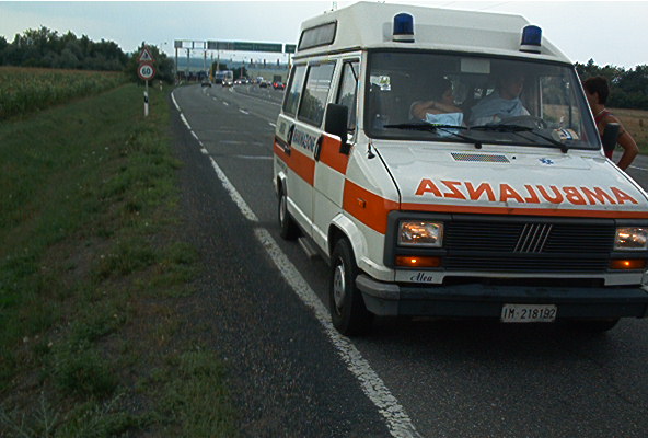roste063.jpg