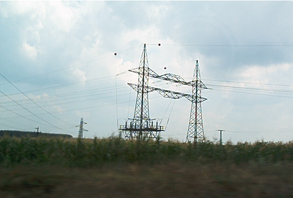 roste065.jpg