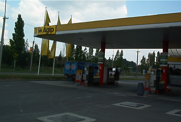 roste068.jpg