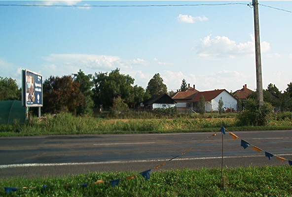 roste070.jpg