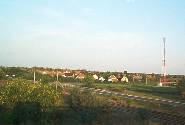 roste071.jpg