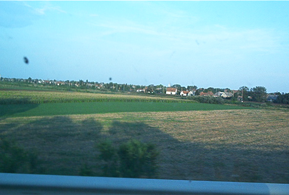 roste072.jpg