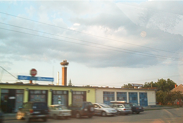 roste073.jpg