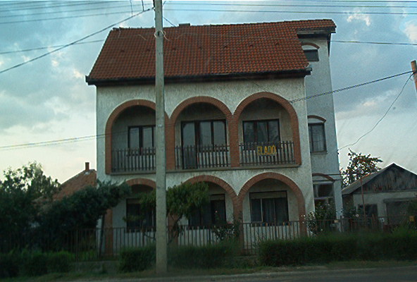 roste074.jpg