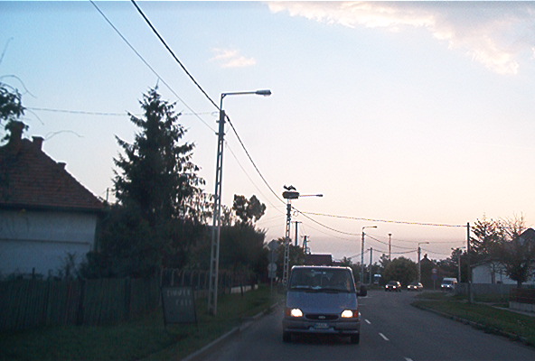 roste078.jpg
